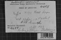 Image Associated With the Occurrence