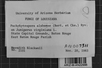 Image Associated With the Occurrence