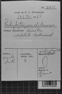 Image Associated With the Occurrence