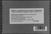 Image Associated With the Occurrence