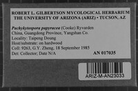 Image Associated With the Occurrence