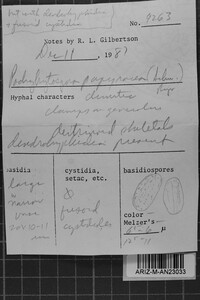 Image Associated With the Occurrence