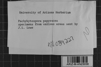 Image Associated With the Occurrence