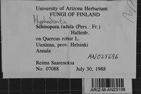 Image Associated With the Occurrence