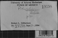 Image Associated With the Occurrence