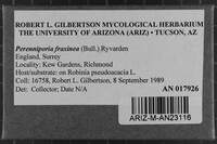 Image Associated With the Occurrence