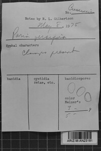 Image Associated With the Occurrence