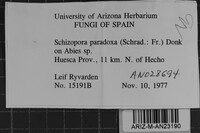 Image Associated With the Occurrence