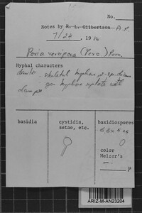 Image Associated With the Occurrence