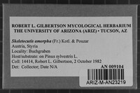 Image Associated With the Occurrence