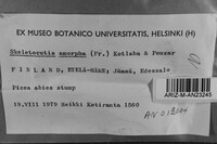 Image Associated With the Occurrence