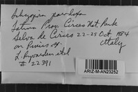 Image Associated With the Occurrence