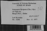 Image Associated With the Occurrence