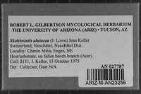 Image Associated With the Occurrence