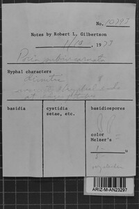 Image Associated With the Occurrence