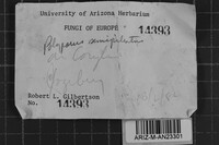 Image Associated With the Occurrence