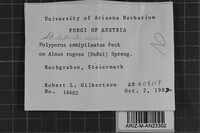 Image Associated With the Occurrence