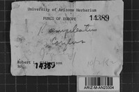 Image Associated With the Occurrence