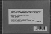 Image Associated With the Occurrence