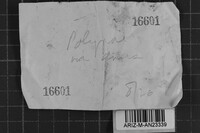 Image Associated With the Occurrence