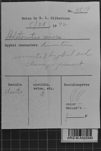 Image Associated With the Occurrence