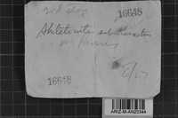 Image Associated With the Occurrence