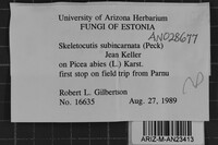 Image Associated With the Occurrence