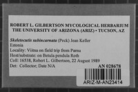 Image Associated With the Occurrence