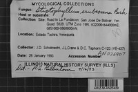 Image Associated With the Occurrence