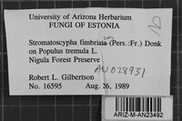 Image Associated With the Occurrence