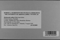 Image Associated With the Occurrence