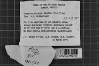 Image Associated With the Occurrence