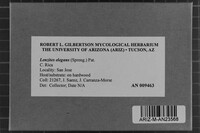 Image Associated With the Occurrence