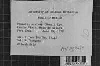 Image Associated With the Occurrence