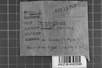 Image Associated With the Occurrence