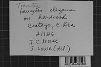 Image Associated With the Occurrence