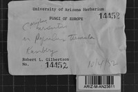 Image Associated With the Occurrence