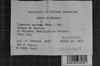 Image Associated With the Occurrence