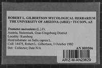 Image Associated With the Occurrence