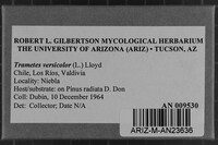 Image Associated With the Occurrence