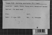 Image Associated With the Occurrence