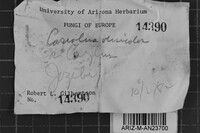 Image Associated With the Occurrence