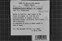 Image Associated With the Occurrence