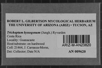 Image Associated With the Occurrence