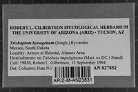 Image Associated With the Occurrence