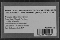 Image Associated With the Occurrence