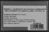 Image Associated With the Occurrence