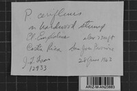 Image Associated With the Occurrence