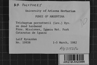 Image Associated With the Occurrence