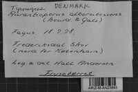 Image Associated With the Occurrence